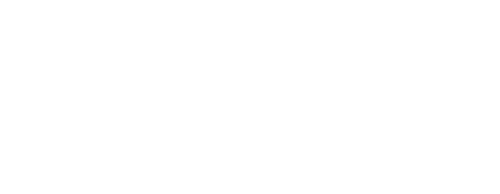 Scandinavian Truck Parts Logo